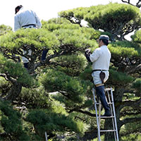 造園・エクステリア